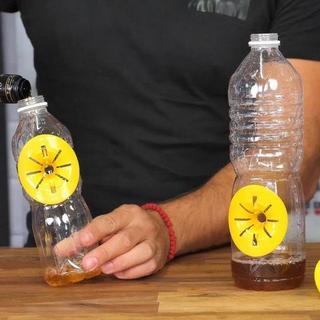 Northio 6x Pièges à guêpes pour bouteilles en plastique  