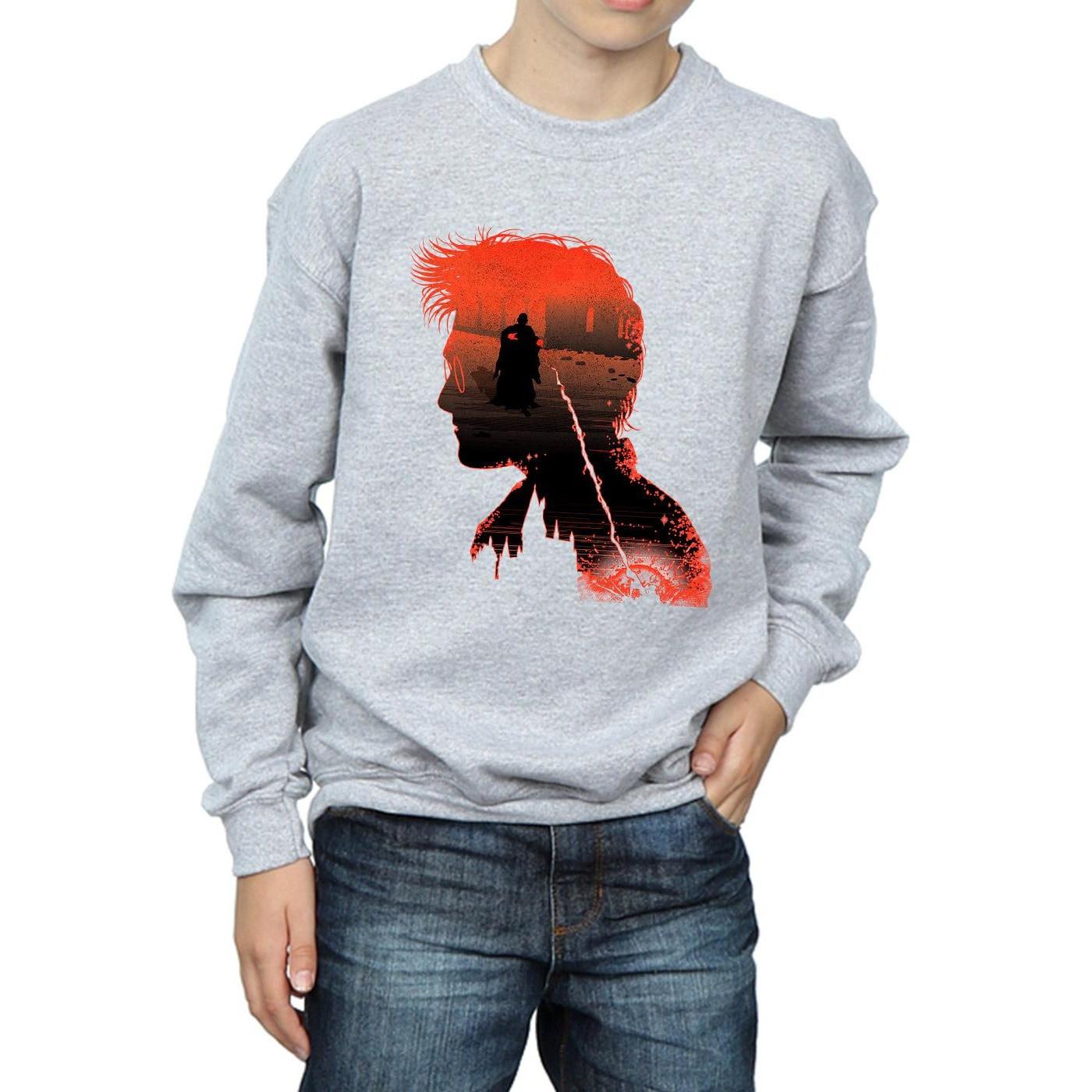 Harry Potter  Sweatshirt 