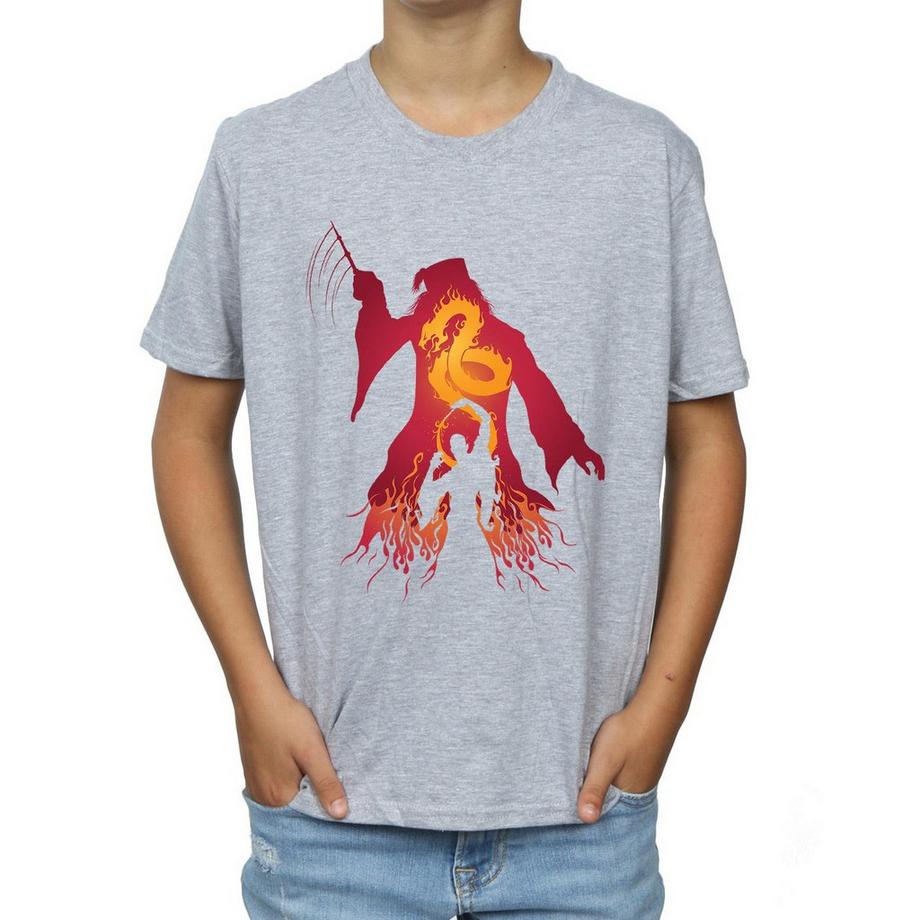 Harry Potter  TShirt 