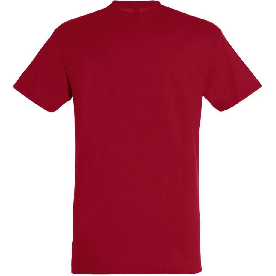SOLS Regent Kurzarm T-Shirt  