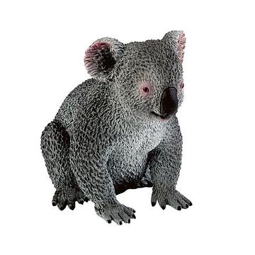 Animal World Koala