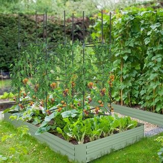 Northio Treillis Lot De 3 Supports Pour Plantes De Jardin Poteaux De Support Pour Plantes Treillis Cage À Tomates Pour Plantes Grimpantes Acier Vert 38 X 38 X 182 Cm  