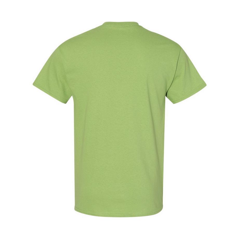 Gildan T-Shirt 5er Pack  