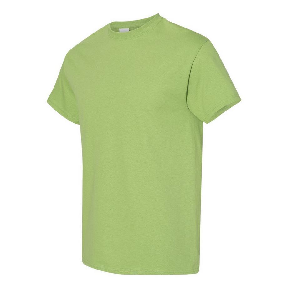 Gildan T-Shirt 5er Pack  