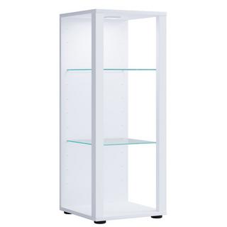 VCM Bois verre vitrine de collection vitrine de verre vitrine de stand vitrine Glasol M  