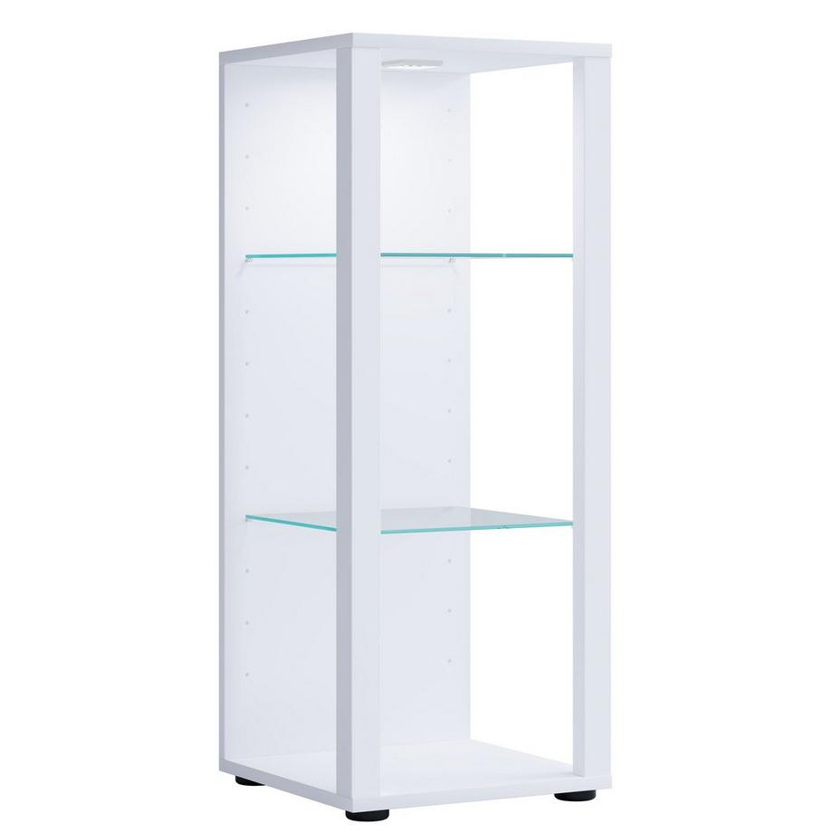 VCM Bois verre vitrine de collection vitrine de verre vitrine de stand vitrine Glasol M  