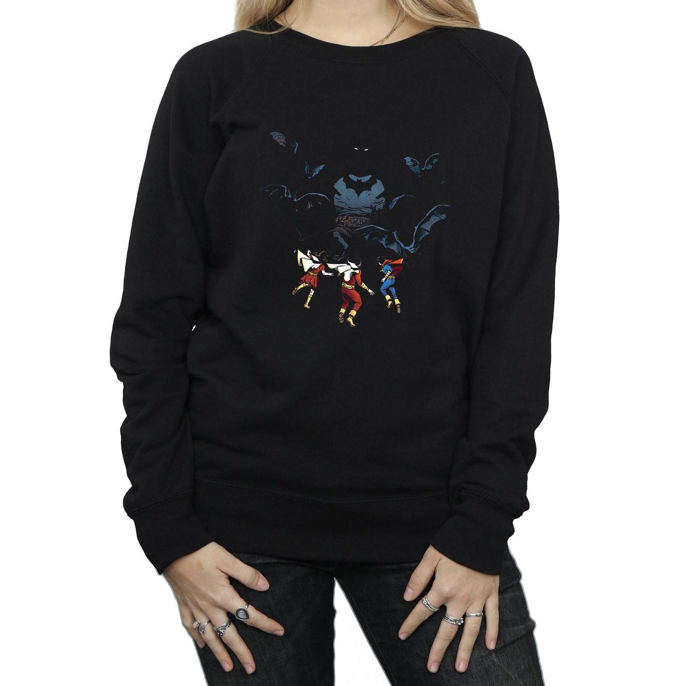 DC COMICS  Sweatshirt 