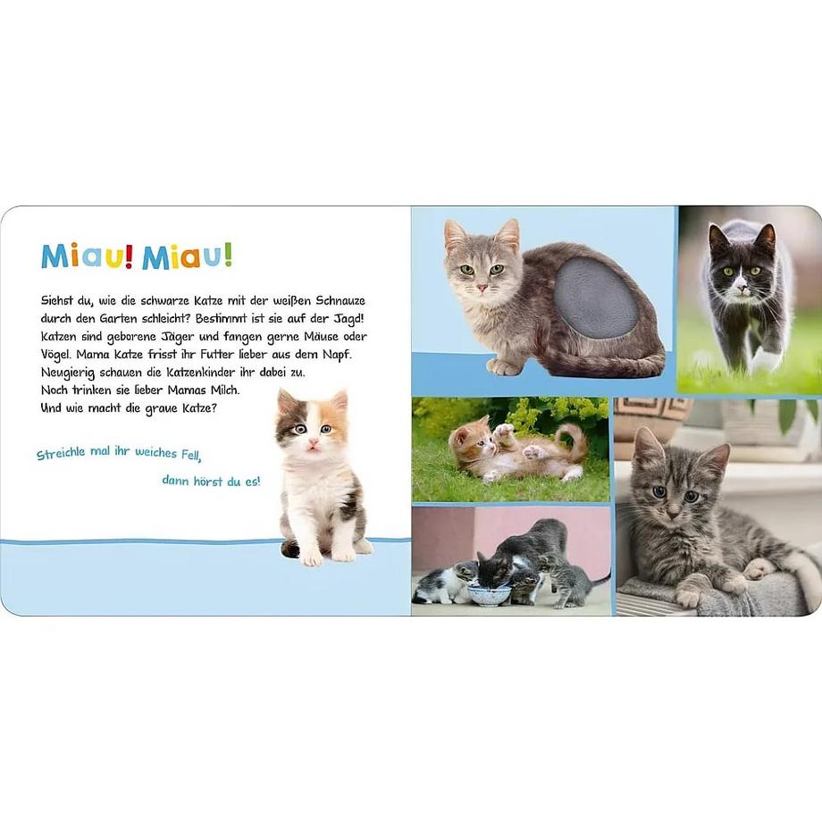 Hör mal rein, wer kann das sein? - Haustiere Kein Autor Couverture rigide 