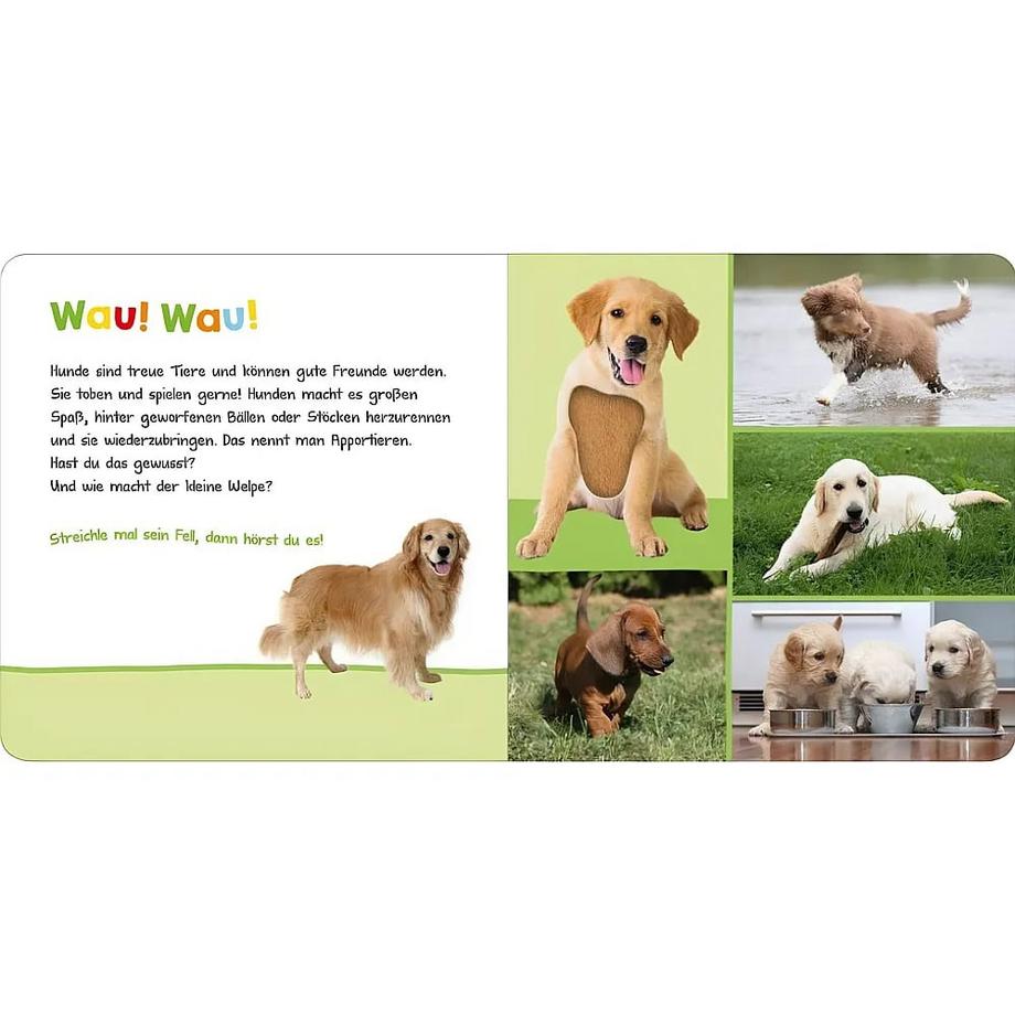 Hör mal rein, wer kann das sein? - Haustiere Kein Autor Couverture rigide 