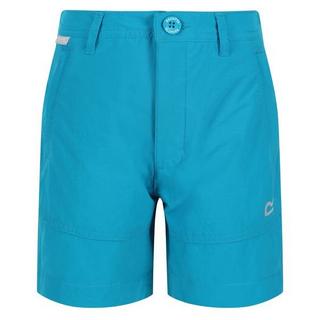 Regatta  Highton Shorts 