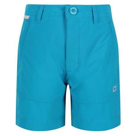 Regatta  Highton Shorts 