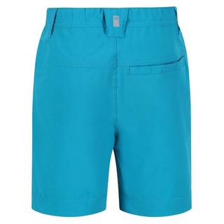 Regatta  Highton Shorts 