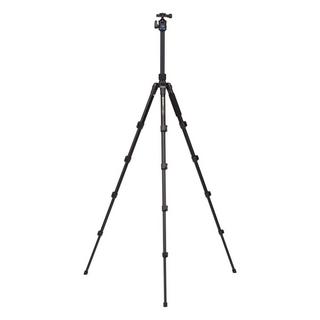 BENRO  Benro FIT29AIH1 treppiede Fotocamere digitali/film 3 gamba/gambe Nero 