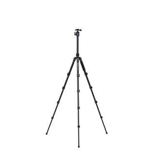 BENRO  Benro FIT29AIH1 treppiede Fotocamere digitali/film 3 gamba/gambe Nero 