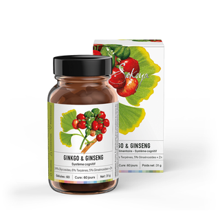 Sekoya Swiss  Ginkgo & Ginseng | Für das Gedächtnis 