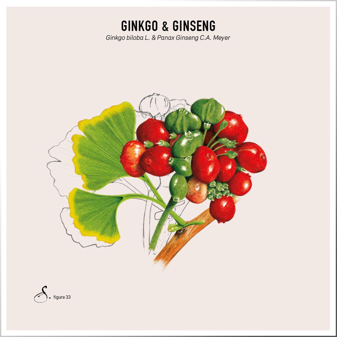 Sekoya Swiss  Ginkgo & Ginseng | Für das Gedächtnis 