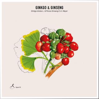 Sekoya Swiss  Ginkgo & Ginseng | Für das Gedächtnis 