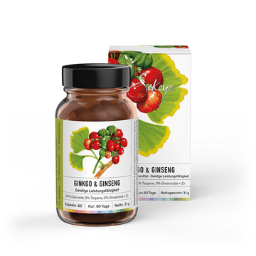 Ginkgo & Ginseng | Für das Gedächtnis