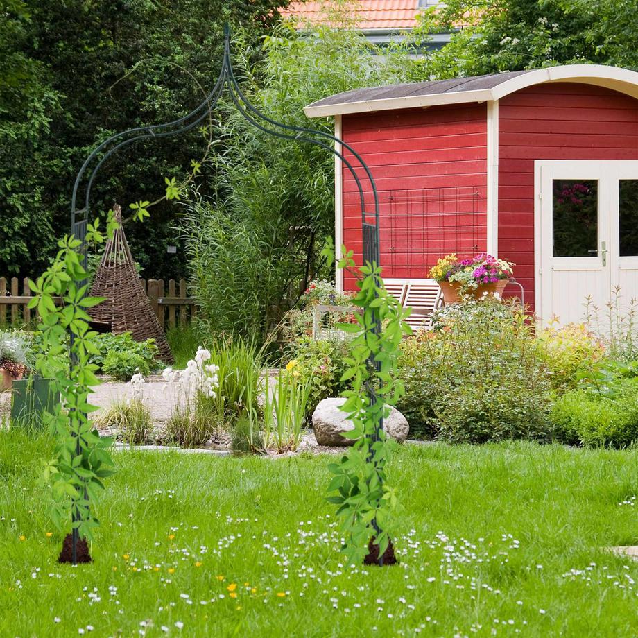 B2X Arco di rose con decorazioni  
