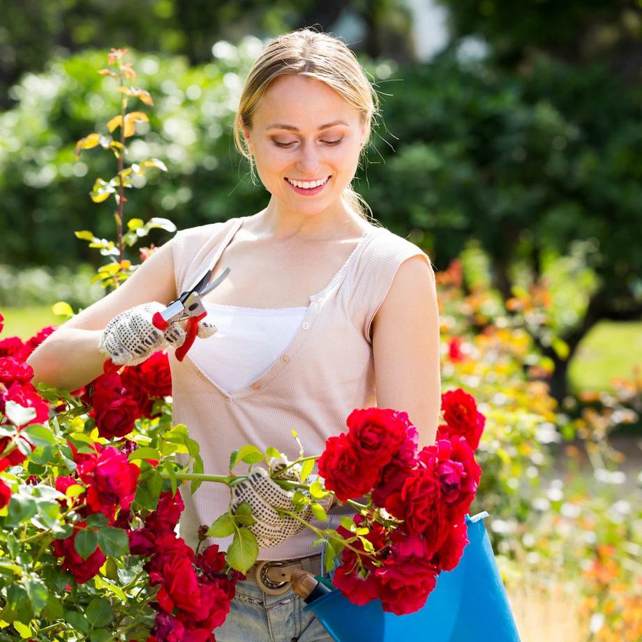 B2X Arco di rose con decorazioni  