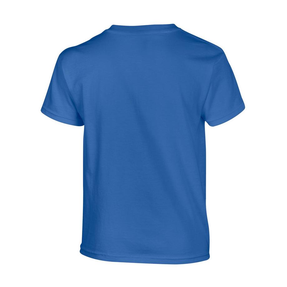 Gildan  TShirt Schwere Qualität 