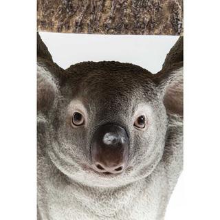 KARE Design Table d'appoint Animal Koala Ø33cm  