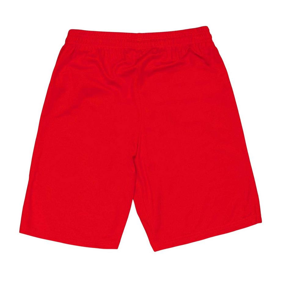 PUMA  Short Foot Motiftyle Équipe 