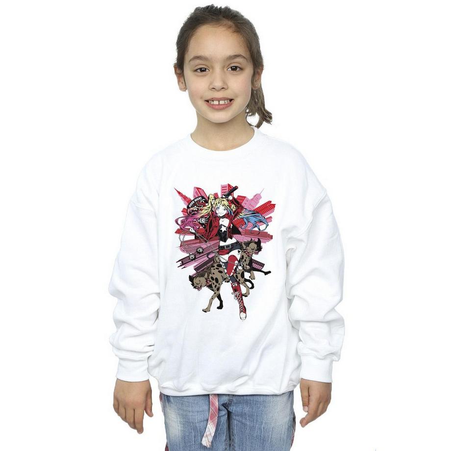 DC COMICS  Sweatshirt 