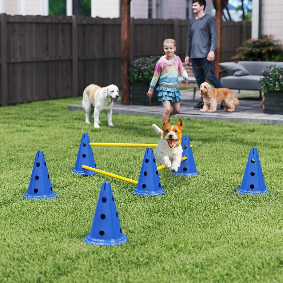 PawHut  Kit d'agilité pour chiens 