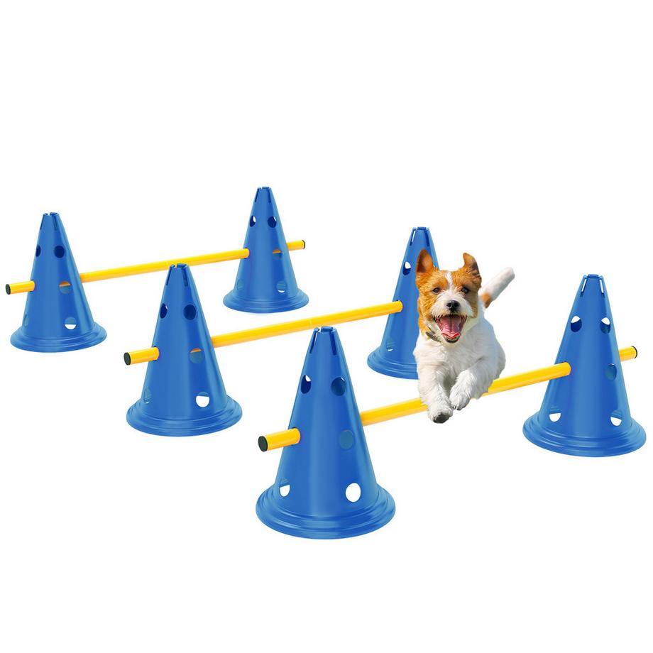 Kit d'agilité pour chiens