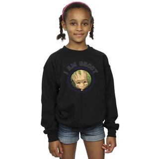 Guardians Of The Galaxy  Sweatshirt 