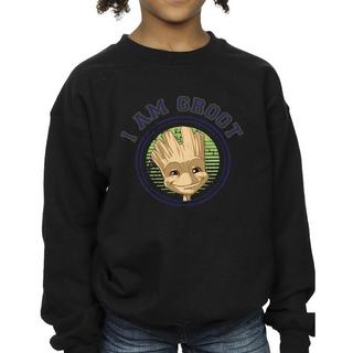 Guardians Of The Galaxy  Sweatshirt 