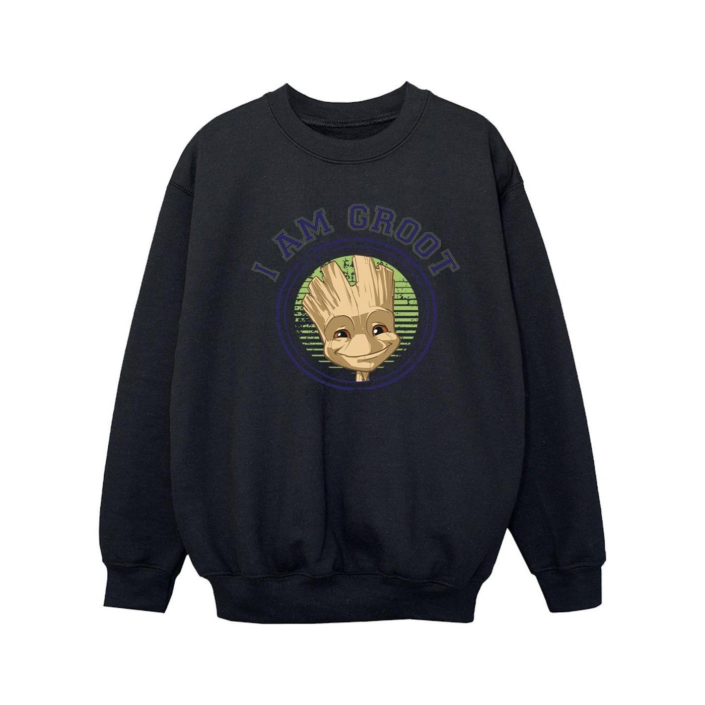 Guardians Of The Galaxy  Sweatshirt 