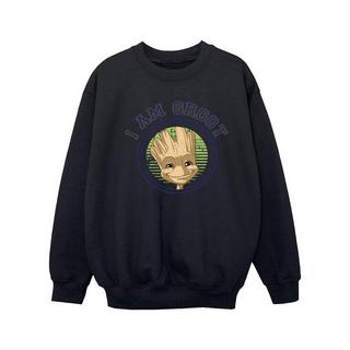 Guardians Of The Galaxy  Sweatshirt 