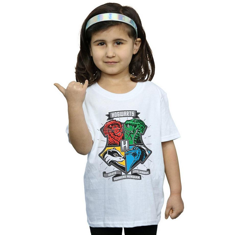 Harry Potter  Hogwarts TShirt 