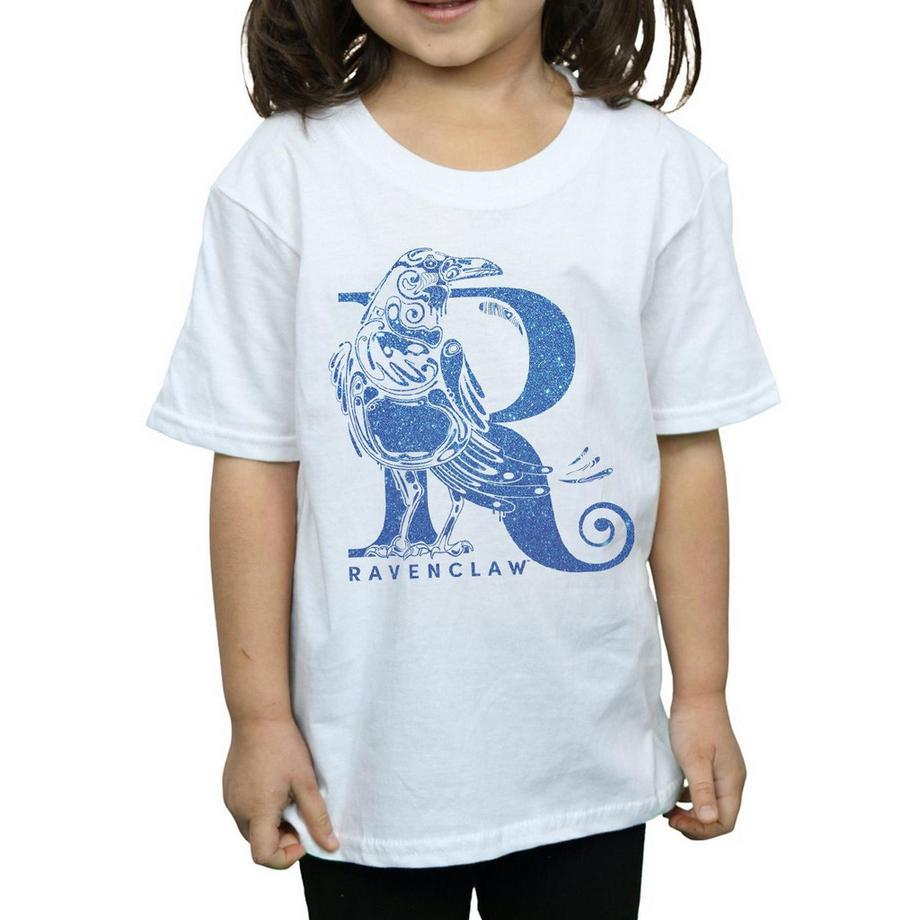 Harry Potter  Ravenclaw TShirt 