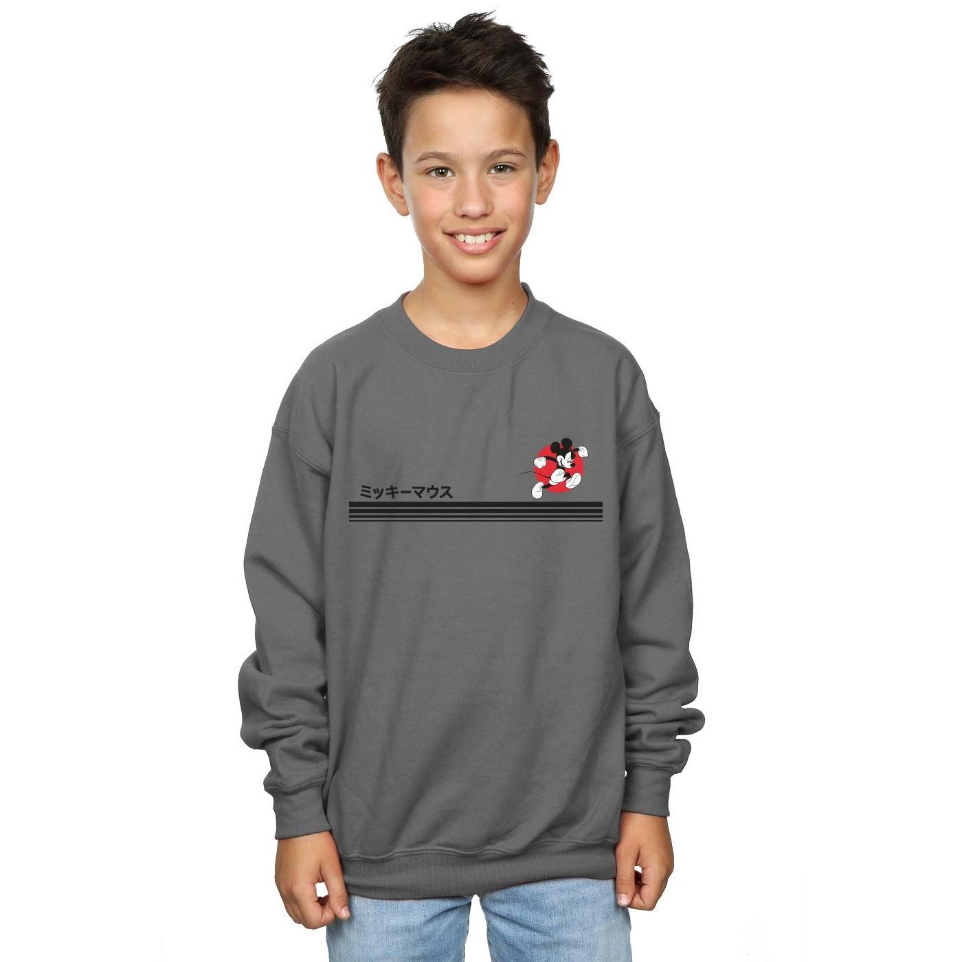 Disney  Sweatshirt 