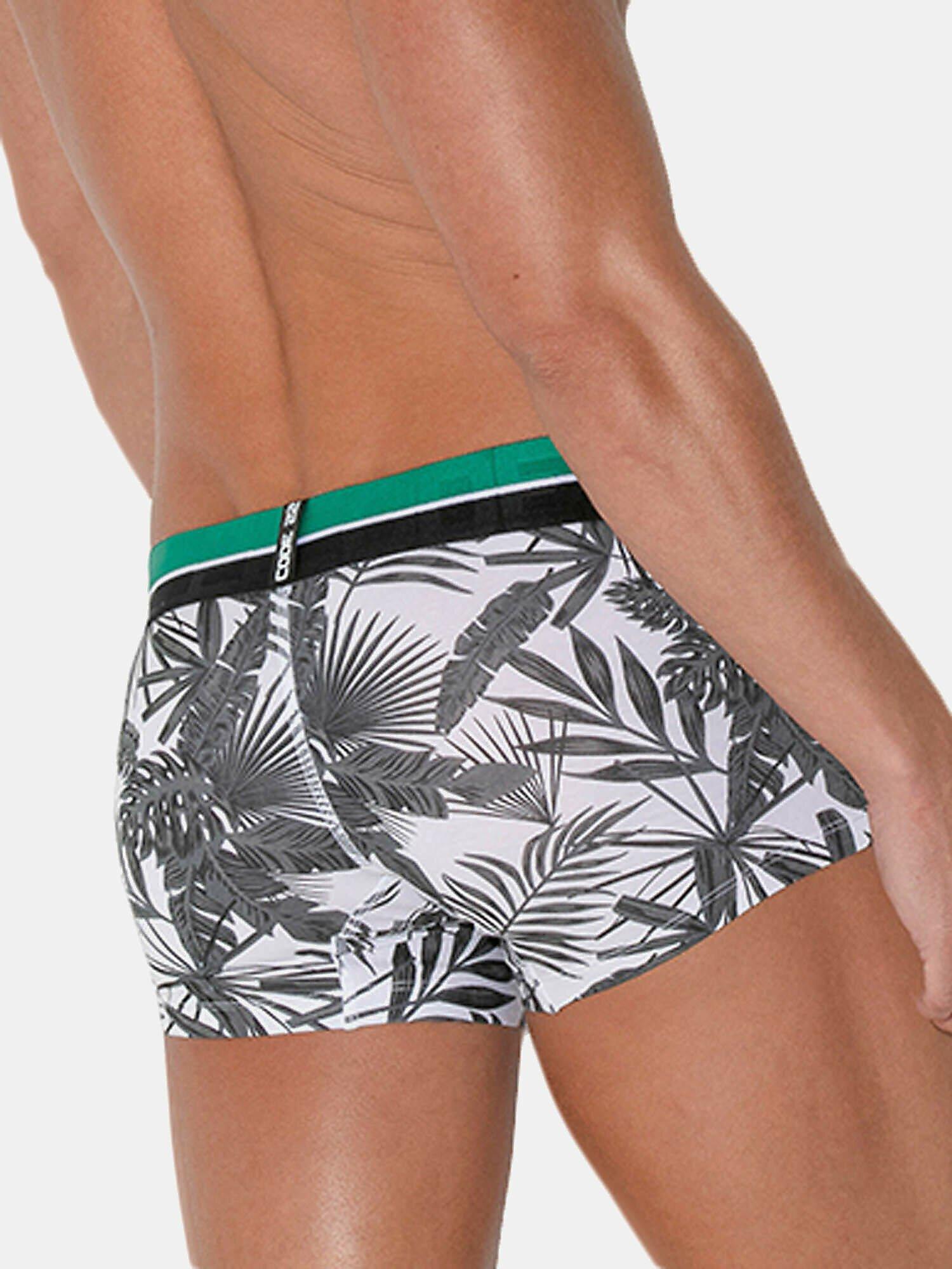 Code22  Boxer Palm Tree 