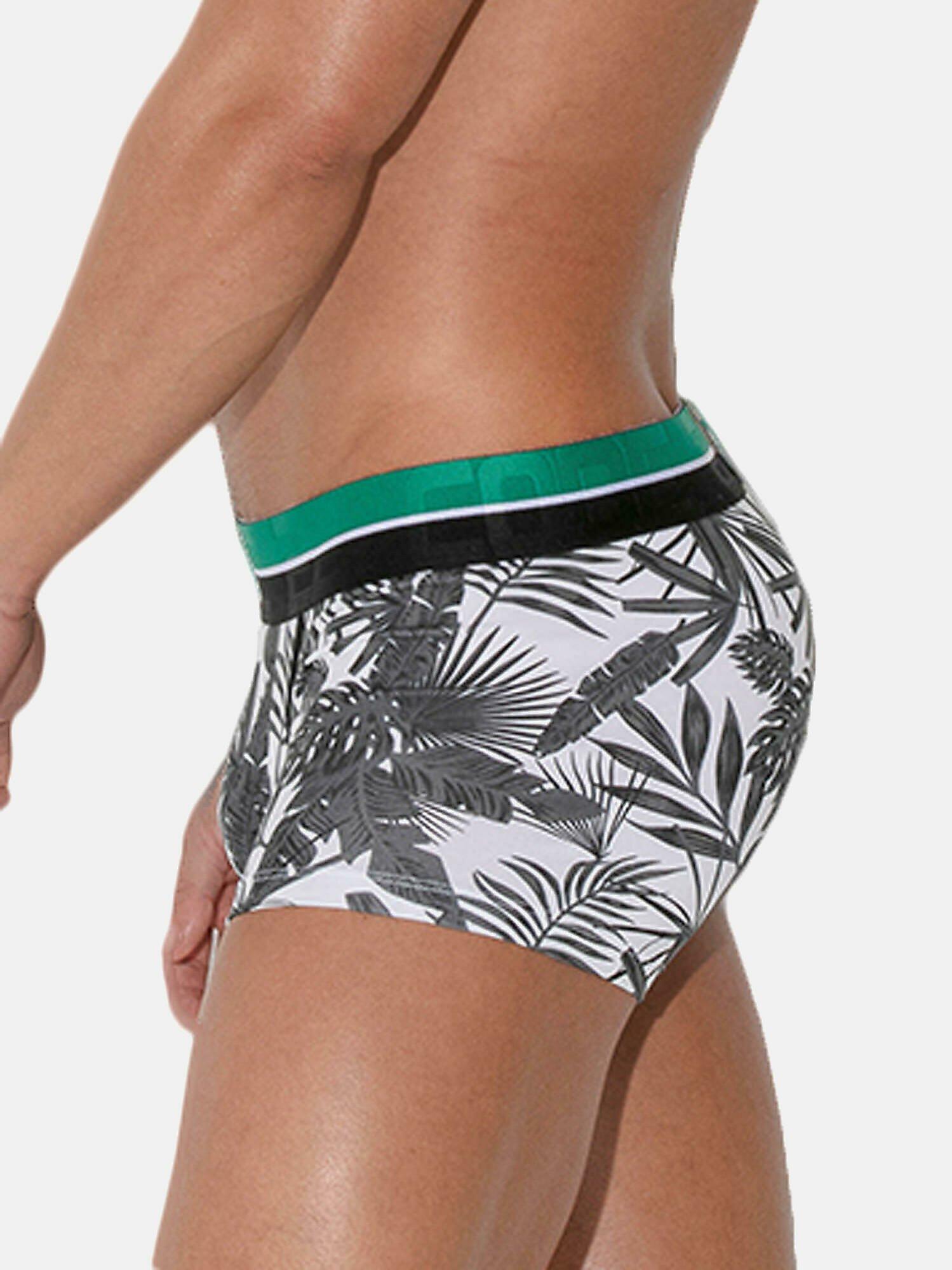 Code22  Boxer Palm Tree 