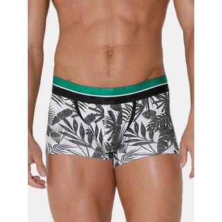 Code22  Boxer Palm Tree 