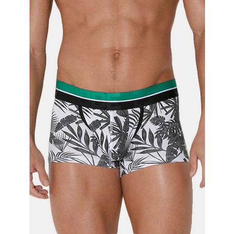 Code22  Boxer Palm Tree 