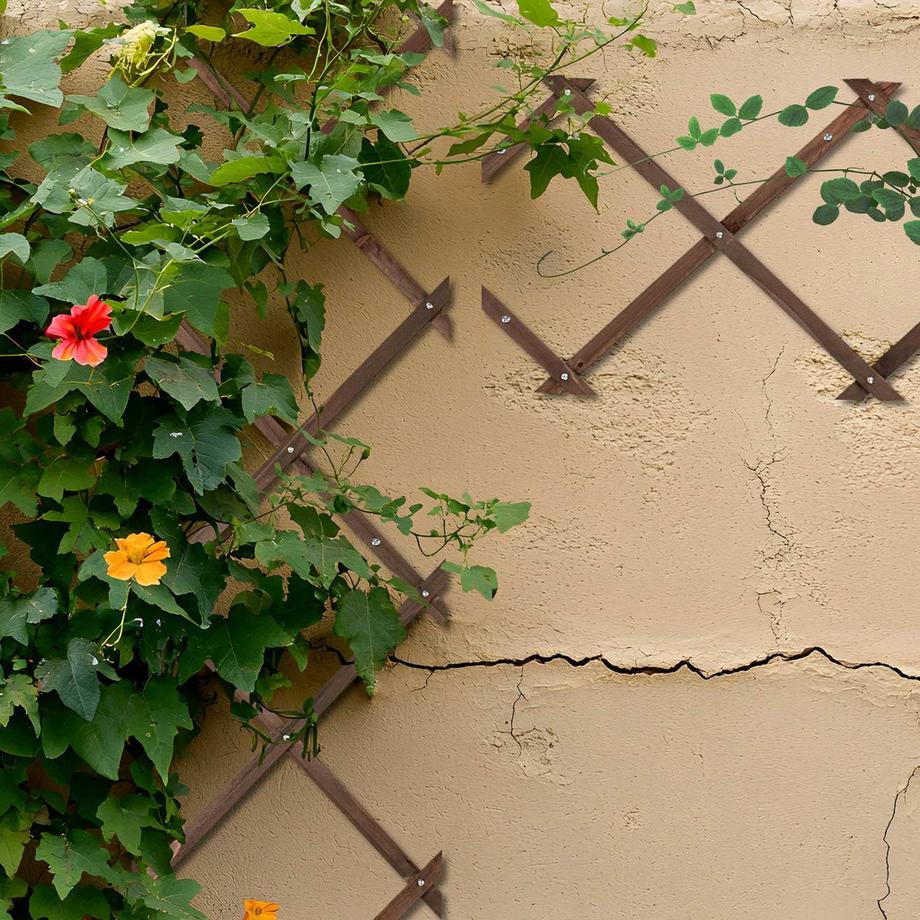 Northix Ausziehbares Pflanzenspalier-Set für die Wand  