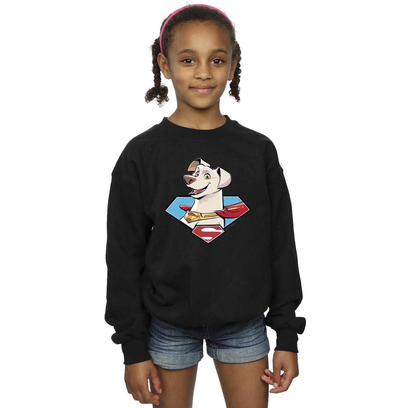 DC COMICS  DC League Of SuperPets Krypto Icon Sweatshirt 