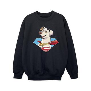 DC COMICS  DC League Of SuperPets Krypto Icon Sweatshirt 