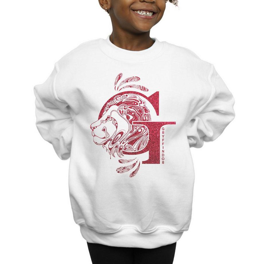 Harry Potter  Sweat GRYFFINDOR 