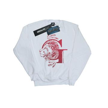 Gryffindor Sweatshirt