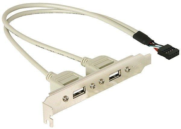 DeLock  Slotbracket 1x internal USB 5pin > 2x USB2.0 external USB Kabel 0,3 m USB A Weiß 