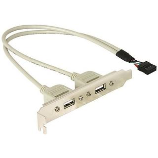 DeLock  Slotbracket 1x internal USB 5pin > 2x USB2.0 external USB Kabel 0,3 m USB A Weiß 