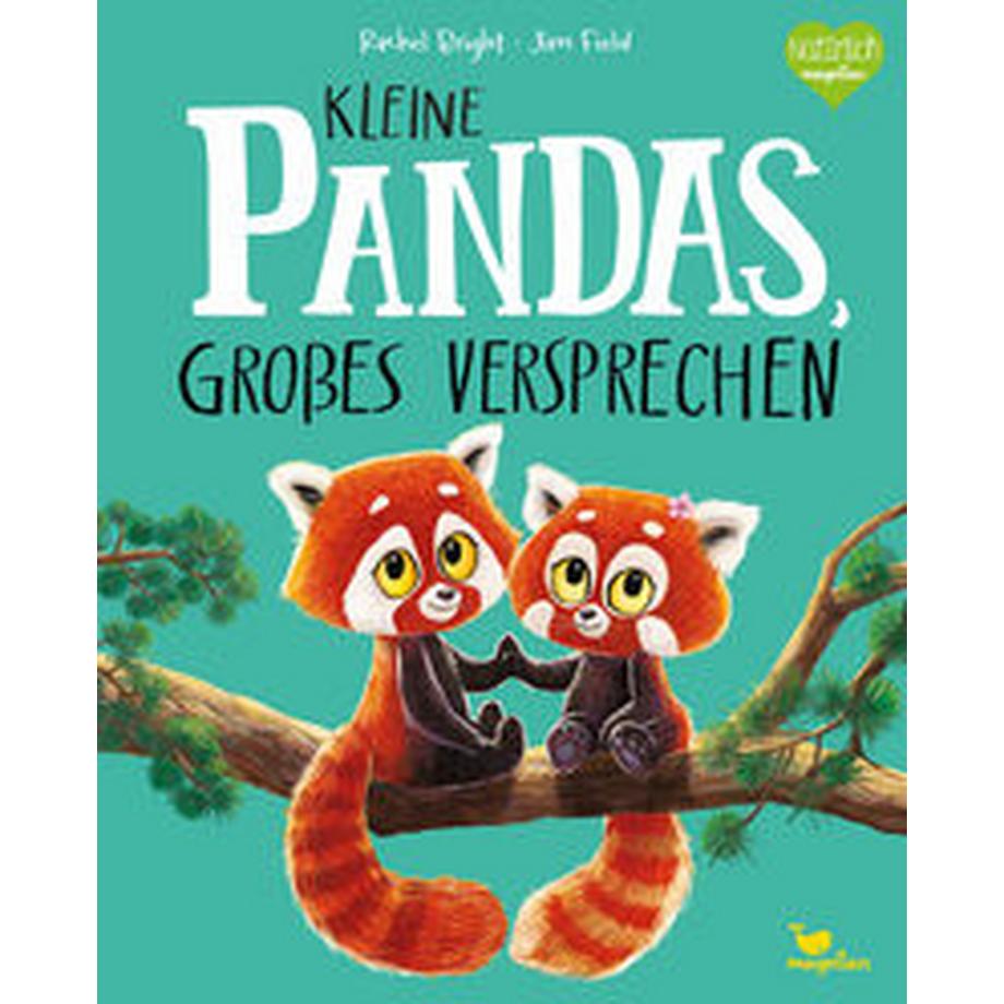 Kleine Pandas, großes Versprechen