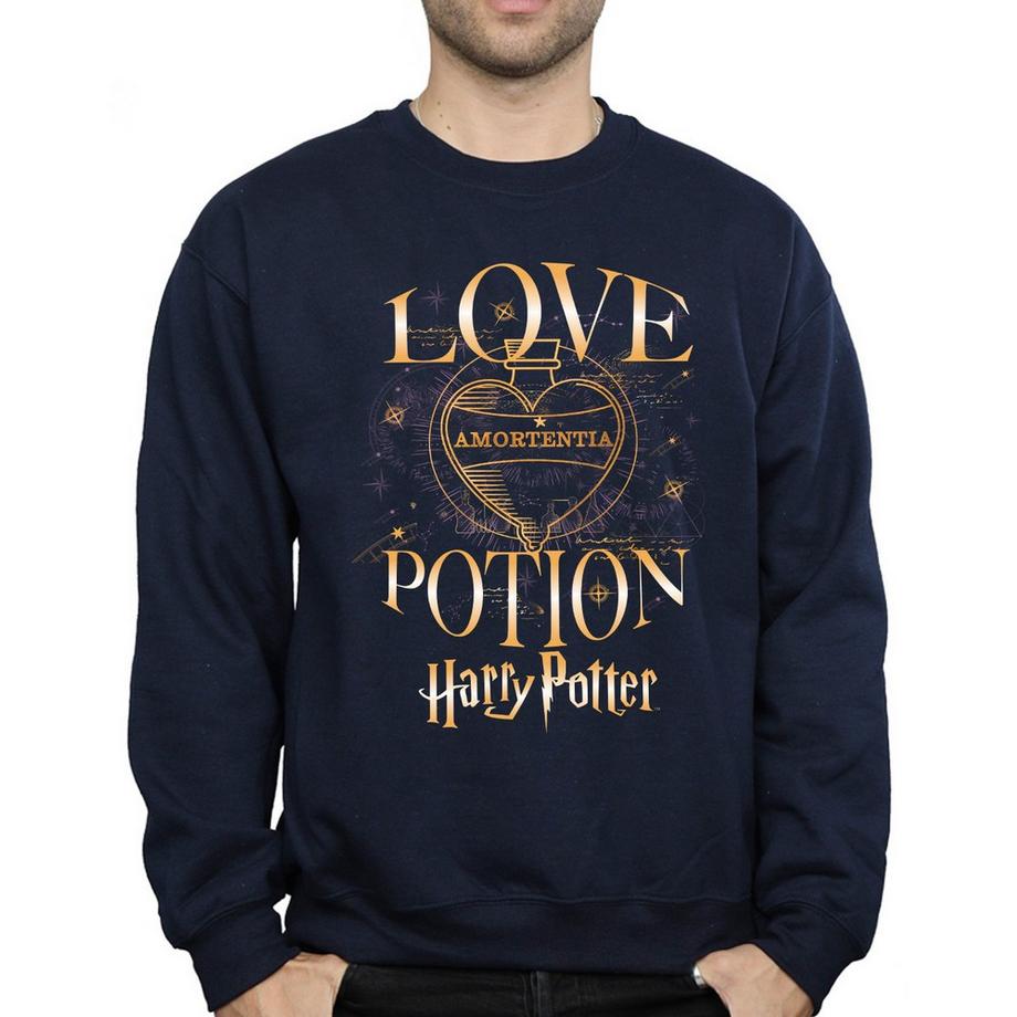 HARRY-POTTER Love Potion Sweatshirt  